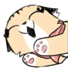 Gatitos💞9🇵🇪Clásica 5