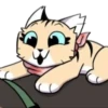 Gatitos💞9🇵🇪Clásica 6