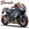 Nombres Motos 🏍️ 8
