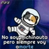 🐱Miausitos🐱 5