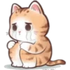 🐈 Variados🇨🇴🇲🇽Clásica 8