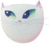 Cats by @my_unrefined 8