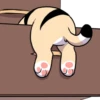 Gatitos💞9🇵🇪Clásica 8