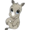 Animalitos Tiernos ✺7🇻🇪 8
