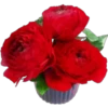 🌹🏵•MiXeD FlOwErS•💐🌸 6
