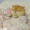 🎄Gatitos 3 😺 6