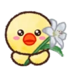 Brown & F. Flower 1💖C☆ 5
