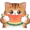🐈G y S💞Michis🇨🇴🇲🇽Clásica 8