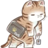 🐈G y S💞Michis🇨🇴🇲🇽Clásica 9