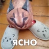 L 7 ЯСНО m