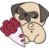 Kawaii Pug 🐶 8