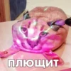 ПЛЮЩИТ