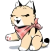 Gatitos💞9🇵🇪Clásica 9