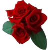 🌹🏵•MiXeD FlOwErS•💐🌸 7