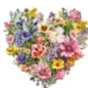 Florecitas Cute🌺💞1🇵🇪Clásica 9