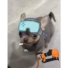 🐕 Perritos chambeadores 2 🐕 12
