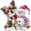 Animales Navideños🎄💞1🇵🇪Clásica 12