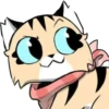 Gatitos💞9🇵🇪Clásica 11