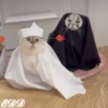 🎄Gatitos 3 😺 8