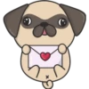 Kawaii Pug 🐶 11