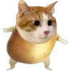 Cat food 5