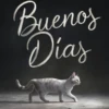🧿Buen día desperte☕ 15