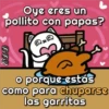 🐱Miausitos🐱 8