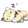 Gatitos💞9🇵🇪Clásica 13