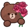 Brown & F. Flower 1💖C☆ 6