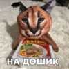 Доширак EAC НА ДОШИК