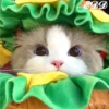 🎄Gatitos 3 😺 9
