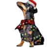 Animales Navideños🎄💞1🇵🇪Clásica 17