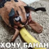 ХОЧУ БАНАН