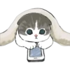🐈 Variados🇨🇴🇲🇽Clásica 19