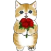 🐈G y S💞Michis🇨🇴🇲🇽Clásica 11