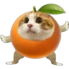 Cat food 7