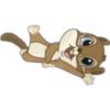 Animalitos Tiernos ✺7🇻🇪 11