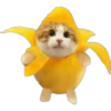 Cat food 8