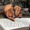 нас. Я очень Towns так xd Toro BuCTY покестра, но Tax OM CO победила. YCTAЛ