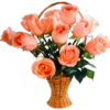 🌹🏵•MiXeD FlOwErS•💐🌸 12