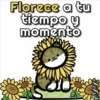 🐱Miausitos🐱 11