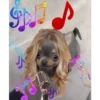 🐕 Perritos chambeadores 2 🐕 22