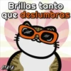 🐱Miausitos🐱 12