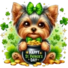 San Patrick's Day ✺1🇻🇪 16