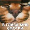 В ГЛАЗА МНЕ СМОТРИ