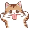 🐈G y S💞Michis🇨🇴🇲🇽Clásica 12