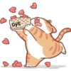 🐈G y S💞Michis🇨🇴🇲🇽Clásica 13