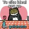 🐱Miausitos🐱 13