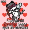 🐱Miausitos🐱 14