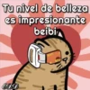 🐱Miausitos🐱 15